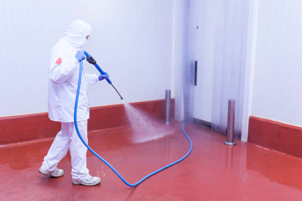 Best Warehouse Cleaning  in Breinigsville, PA
